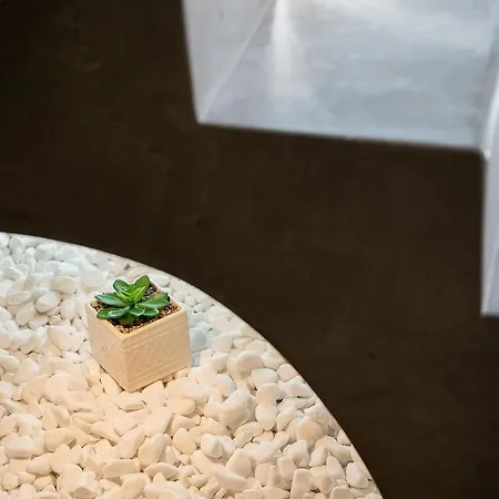 Hall Il Cutti 公寓 干尼亞